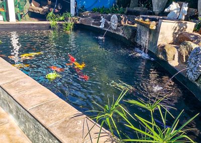 Sustainable koi pond with natural filtration and plant borders in a Durban garden by Creative Landscapes