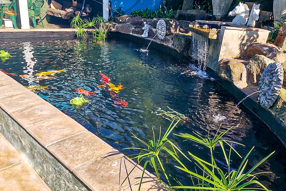 Transform Your Garden with Stunning Koi Ponds and Water Features