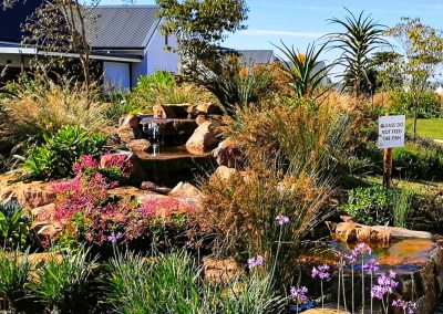 Water feature integrated with flowering plants and natural stones in a Durban garden by Creative Landscapes