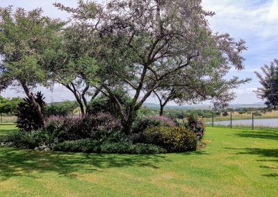 Example of a low-maintenance garden design using drought-tolerant plants in Durban by Creative Landscapes