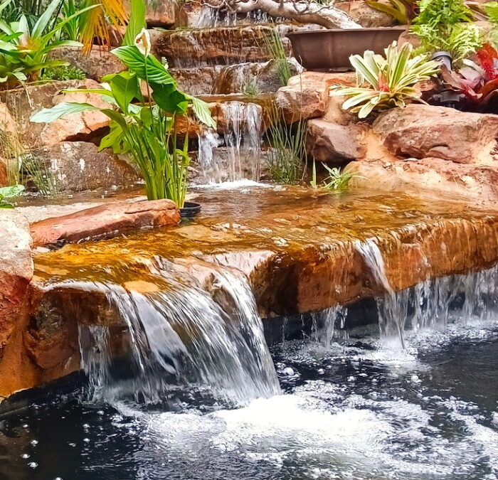 Tranquil Escapes: How Water Features Can Transform Even the Smallest Garden