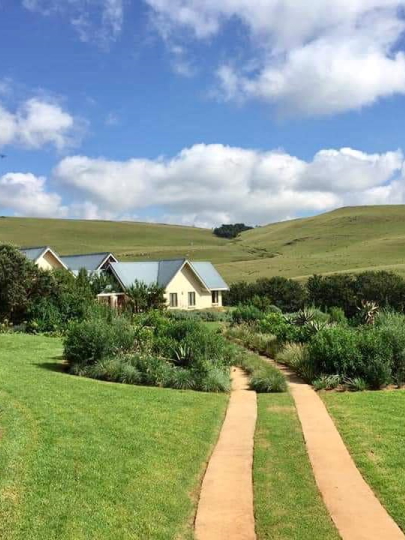 Koi pond installation for Durban backyards by Creative Landscapes